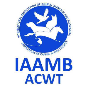 IAAMB company logo
