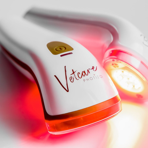 Red light device used within equine massage therapy sessions to aid with healing